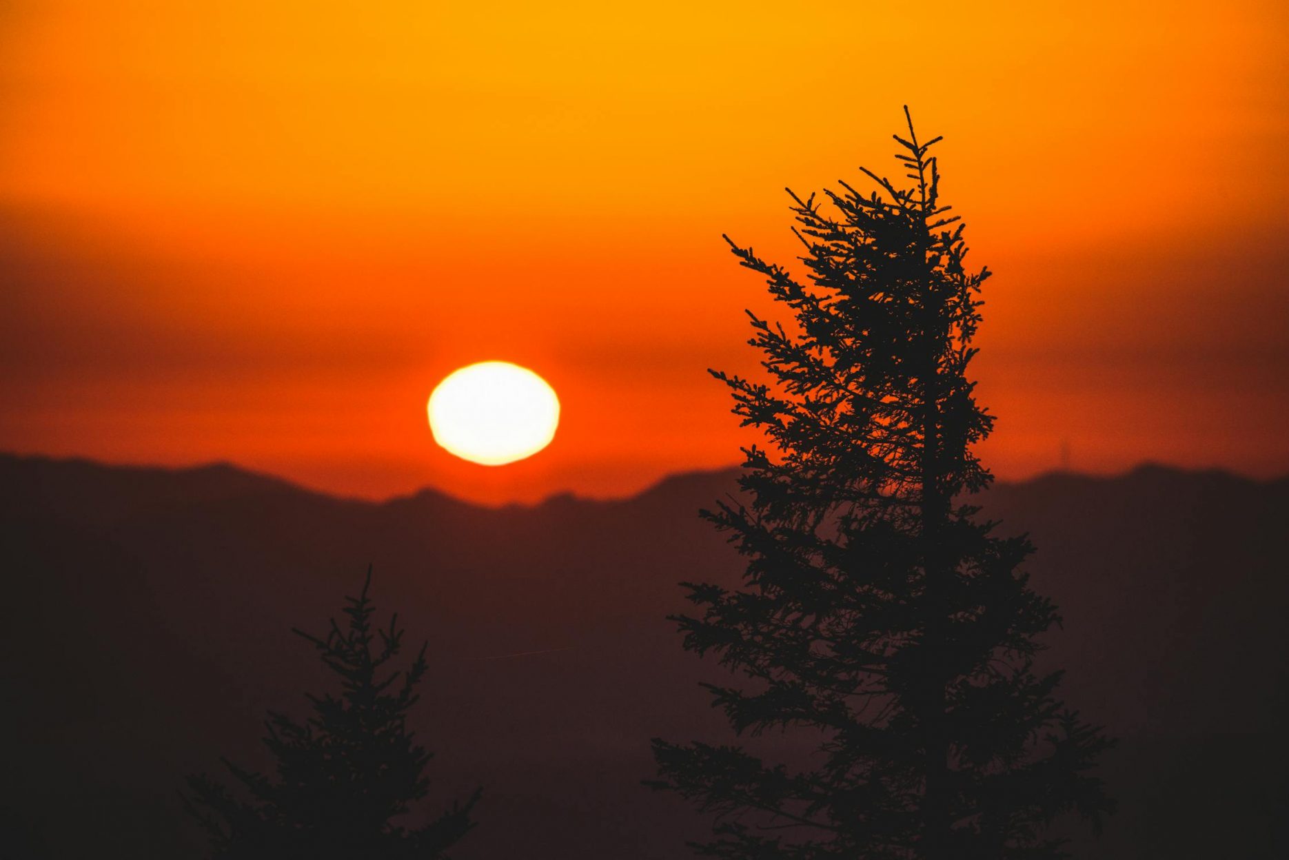 Кун
