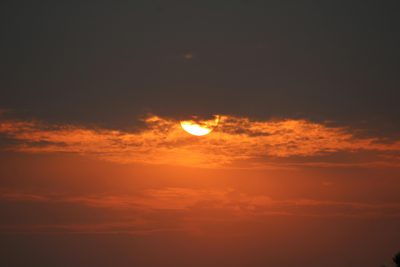 Кун